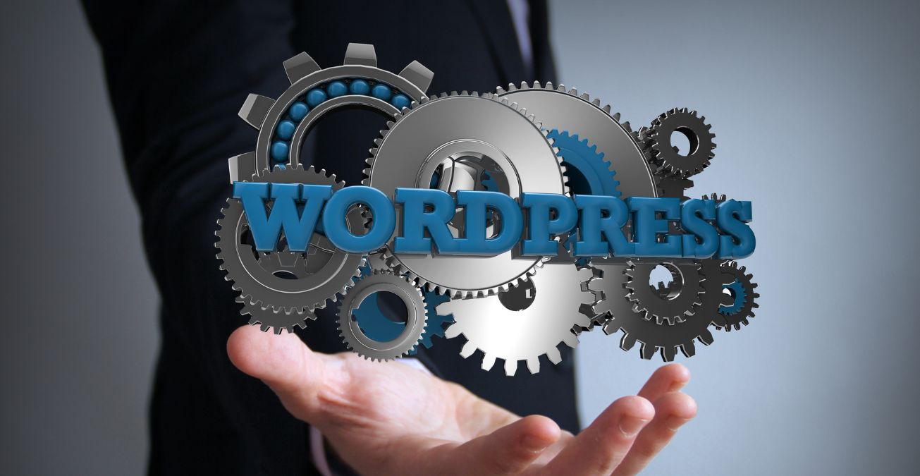 WordPress Website Developer in Agra